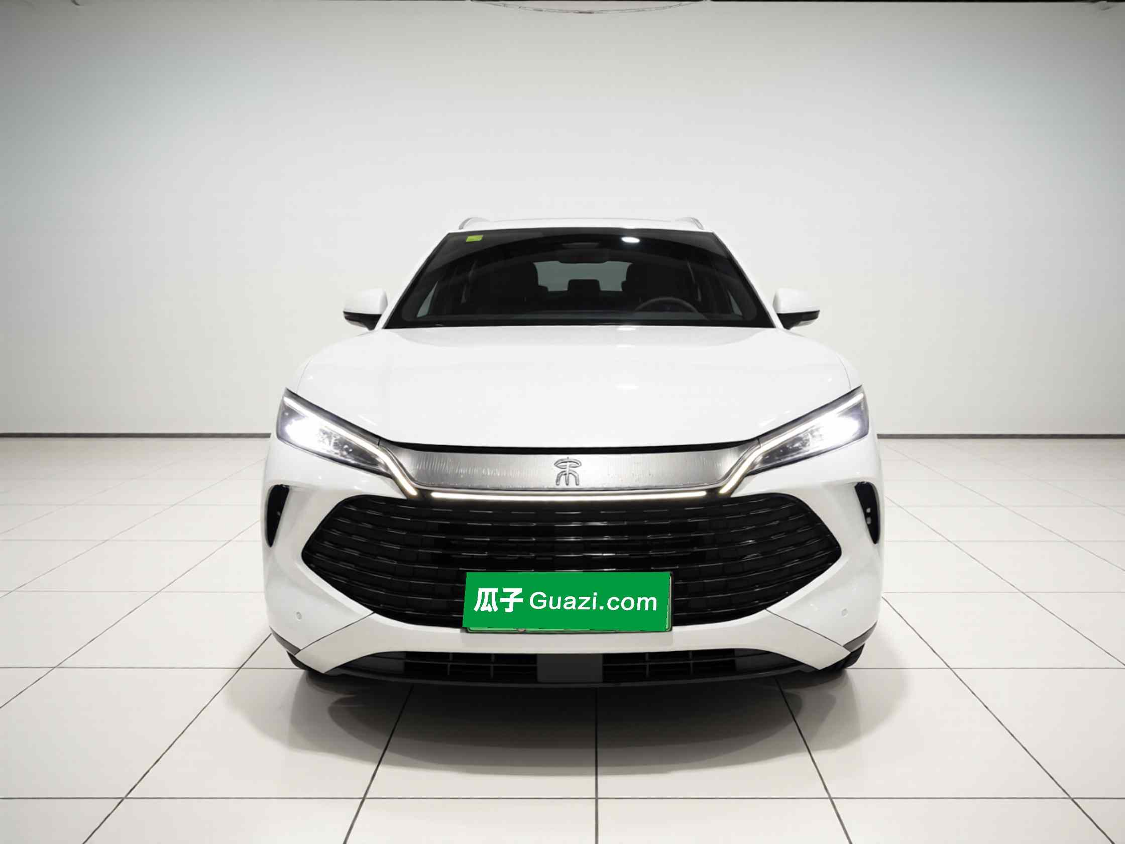 比亚迪 宋L DM-i 2025款 智驾版 160km 超越型(1)