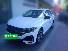 大众 朗逸 2024款 300TSI DSG星空领先版