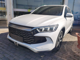 比亚迪 宋Pro新能源 2023款 冠军版 DM-i 110KM超越型