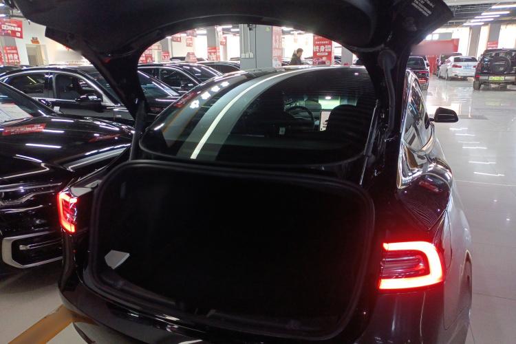 特斯拉 Model 3 2022款 后轮驱动版机舱底盘23