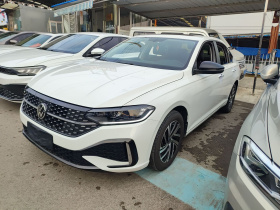 大众 朗逸 2023款 280TSI DSG星空满逸版