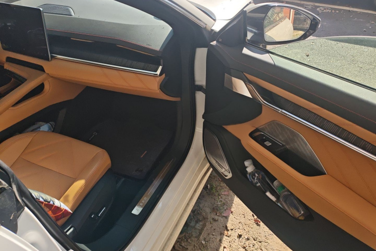 极氪001 2022款 超长续航双电机 YOU版局部细节9005