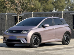 比亚迪 海豚 2021款 405km 时尚版