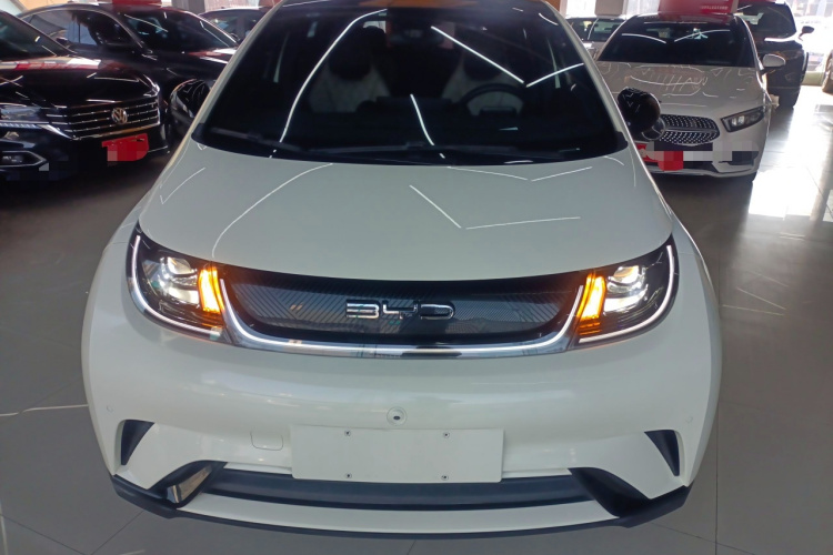 比亚迪 海豚 2023款 420km 时尚版车身外观6001