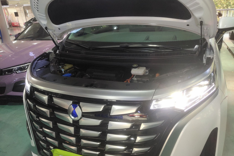 腾势D9 2022款 DM-i 970 四驱尊荣型局部细节24