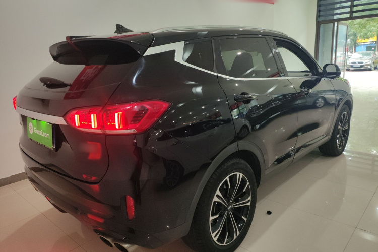 魏牌 VV6 2021款 2.0T 两驱智护+车身外观7