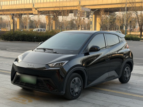 比亚迪 海鸥 2025款 305km 活力版