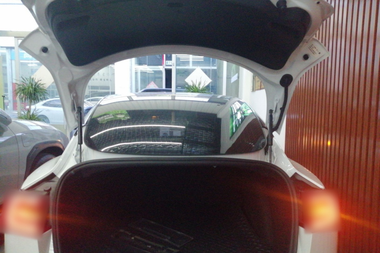 特斯拉 Model 3(进口) 2019款 标准续航后驱升级版(60度)机舱底盘23