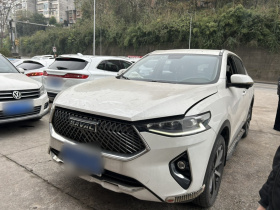 哈弗F7 2021款 1.5T 两驱i炫