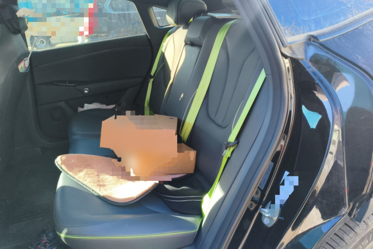 ARCFOX极狐 极狐 阿尔法S5 2024款 560PRO 185kW中控内饰21