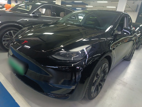 特斯拉 Model Y 2021款 Performance高性能全轮驱动版