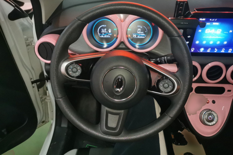 欧拉黑猫 2021款 301km 基础型局部细节13