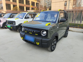 吉利银河 2025款 210km 熊猫骑士