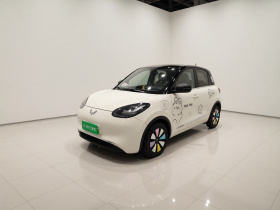 五菱汽车 五菱缤果 2024款 333km 悦享款