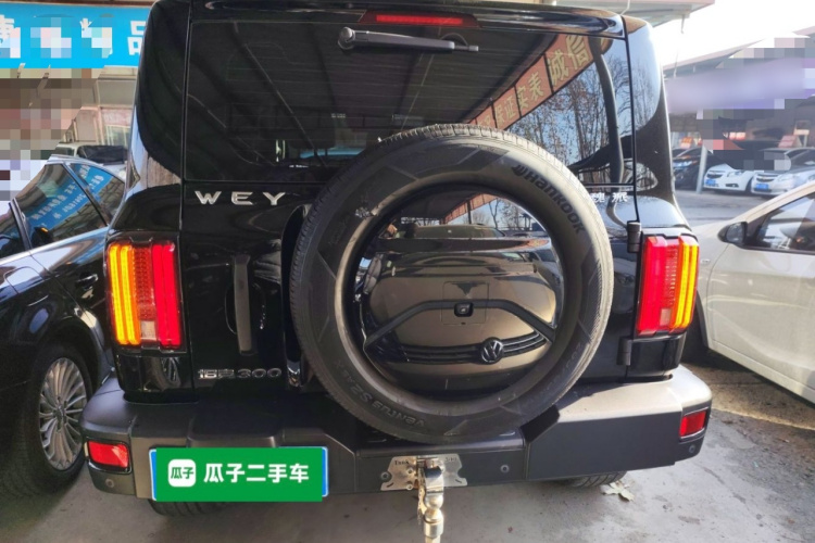 坦克300 2021款 越野版 2.0T 征服者车身外观6