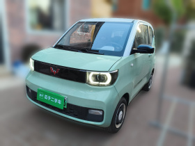 五菱汽车 宏光MINIEV 2021款 马卡龙时尚款 磷酸铁锂