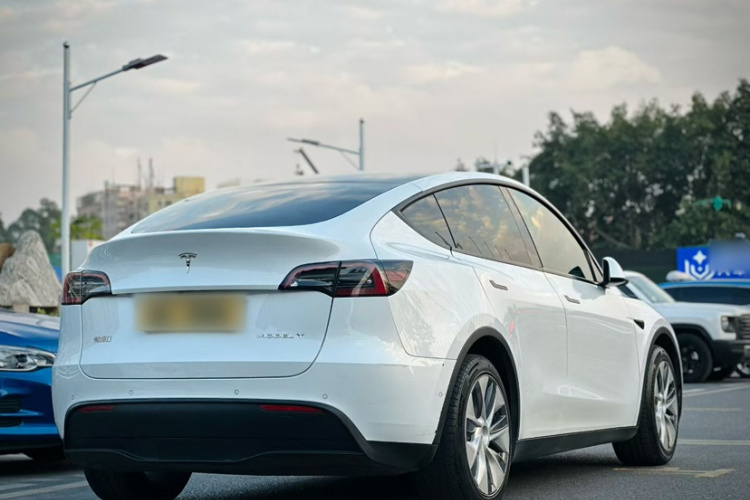 特斯拉 Model Y 2021款 标准续航后驱版车身外观6003