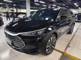 比亚迪 唐新能源 2022款 DM-p 215KM 四驱旗舰型