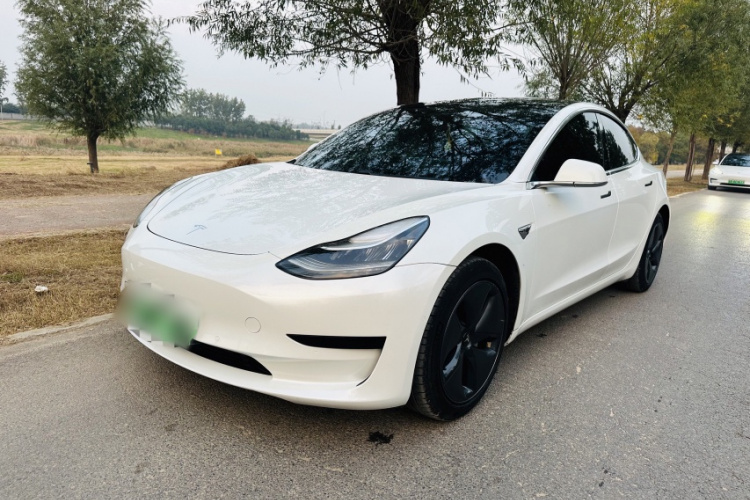 特斯拉 Model 3 2019款 标准续航后驱升级版车身外观6003