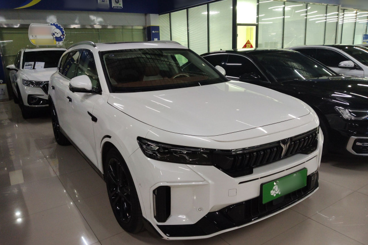 岚图汽车 岚图FREE 2024款 超长续航智驾版车身外观6002