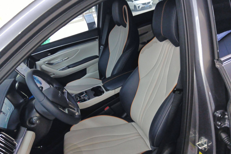 比亚迪 宋PLUS新能源 2023款 冠军版 DM-i 150KM 旗舰PLUS 5G局部细节19