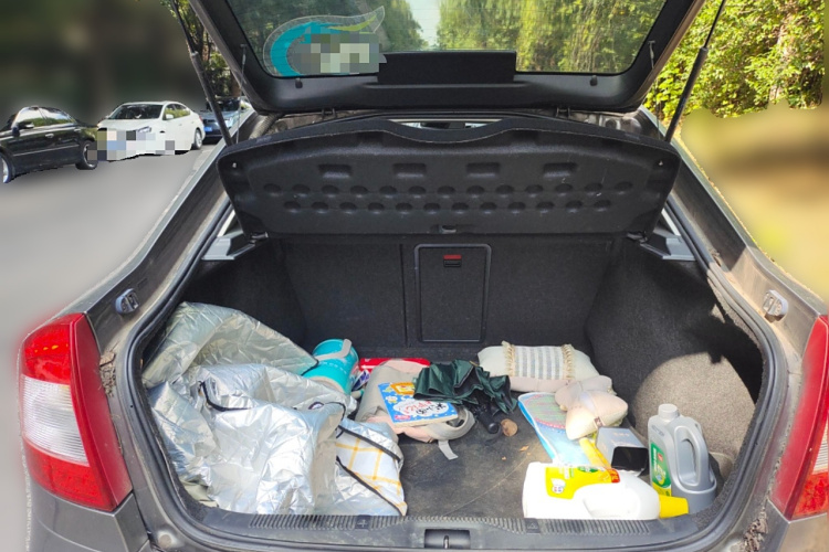 斯柯达 明锐 2014款 1.6L 自动逸俊版局部细节23