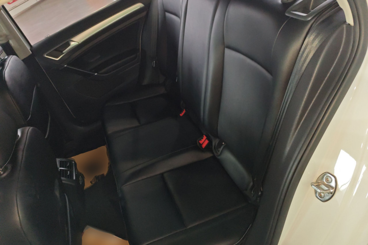 大众 高尔夫 2020款 挚爱版 200TSI DSG舒适型进取版中控内饰21