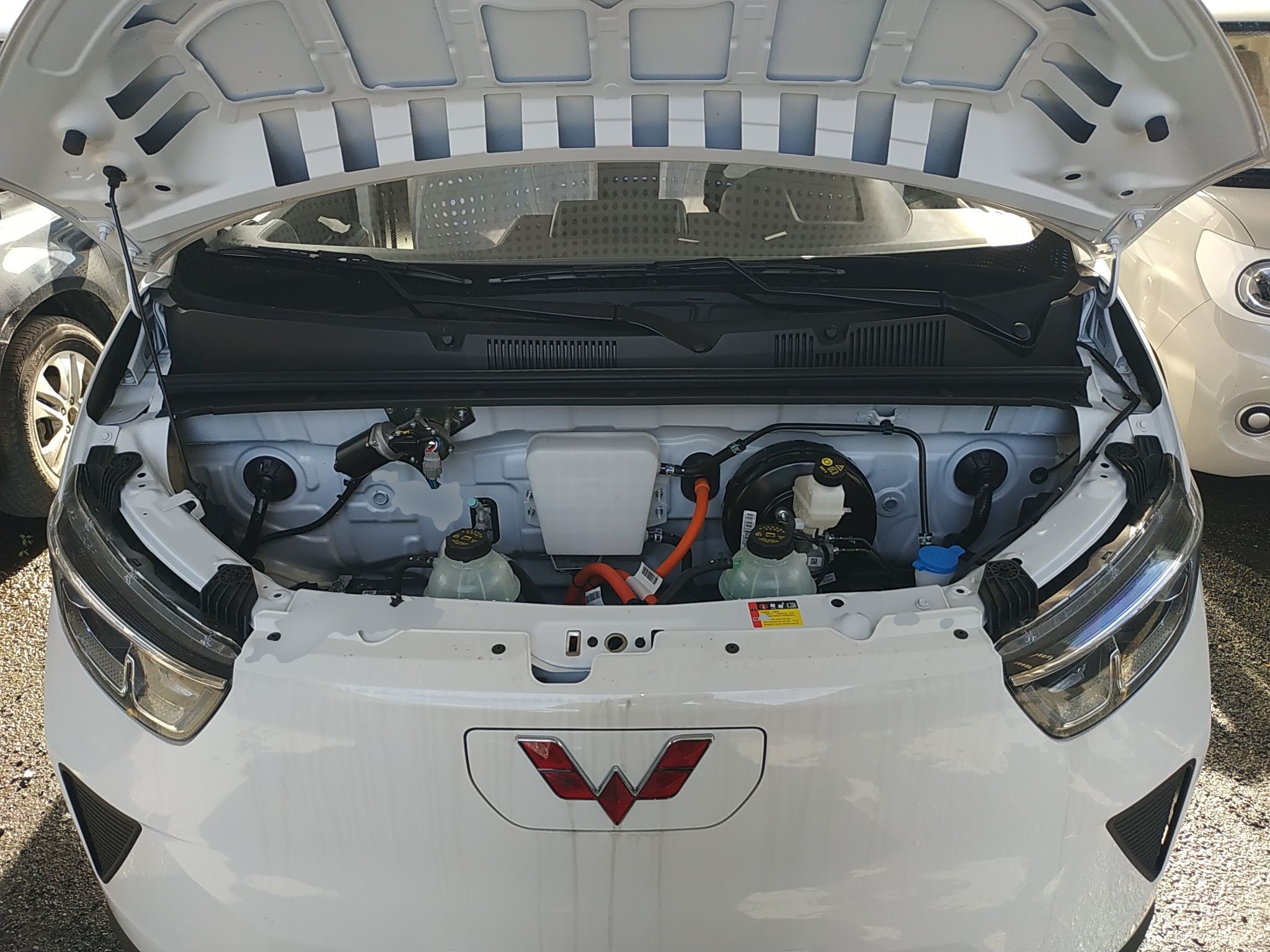 五菱汽车 五菱扬光 2024款 300KM 舒适型客车版 75kW