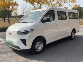 五菱汽车 五菱扬光 2024款 300KM 舒适型客车版 75kW