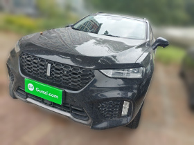 魏牌 VV7 2019款 升级款 2.0T 旗舰型 国VI