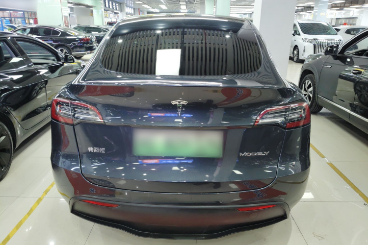 特斯拉 Model Y 2021款 标准续航后驱版车身外观6004