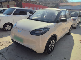 五菱汽车 五菱缤果 2025款 333km 灵犀互联款