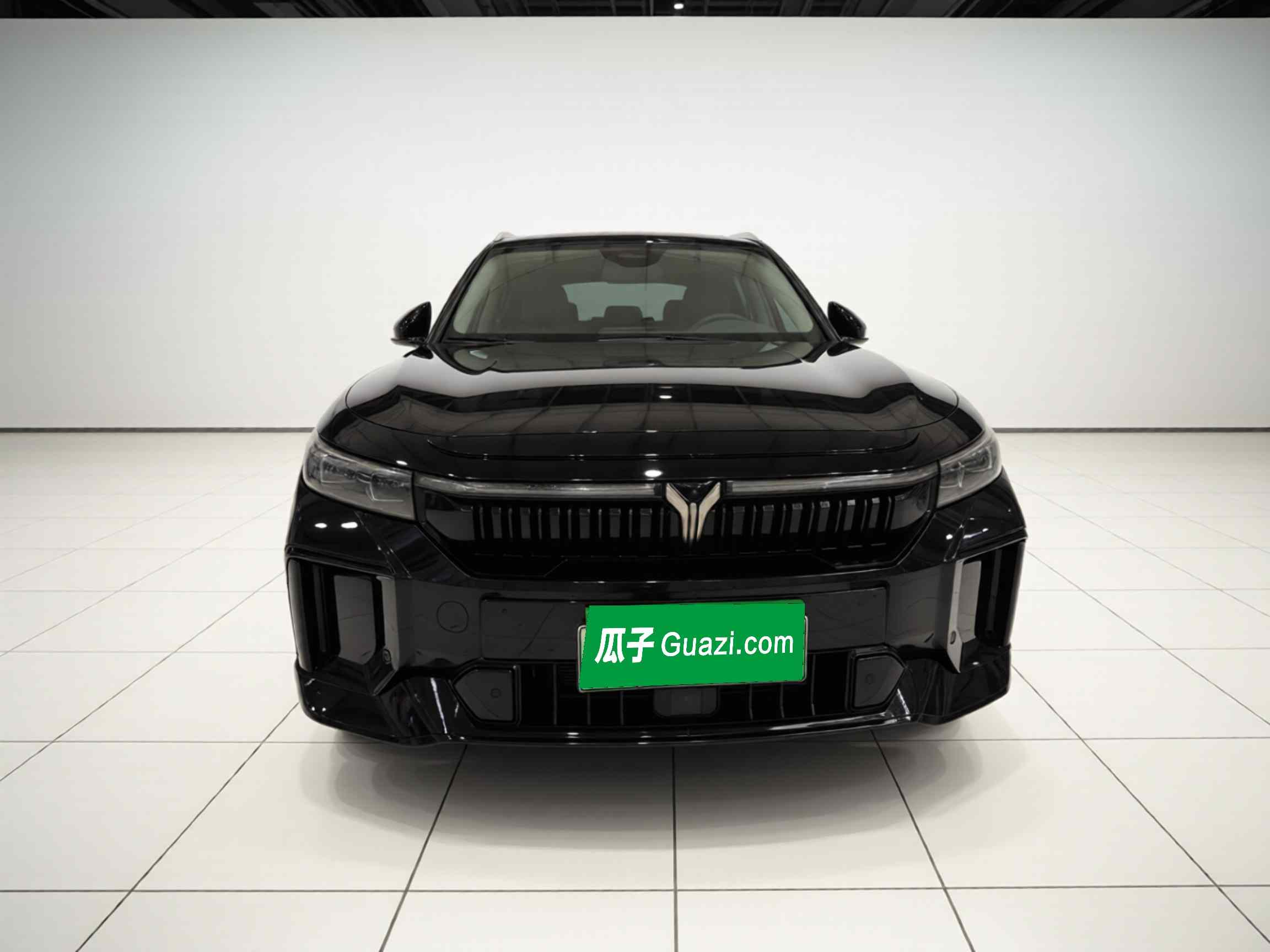 岚图汽车 岚图FREE 2024款 超长续航智驾版(1)
