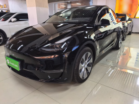 特斯拉 Model Y 2021款 标准续航后驱版