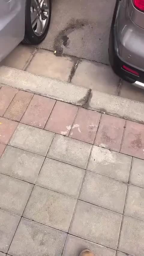 本田 奥德赛 2011款 劲秀 2.4L 豪华版讲解2