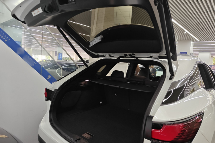 雷克萨斯RX 2023款 350h 四驱醇享版局部细节23