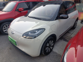 五菱汽车 五菱缤果 2023款 333km 灵犀互联款