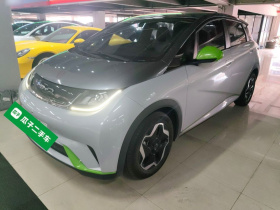 比亚迪 海豚 2021款 405km 自由版