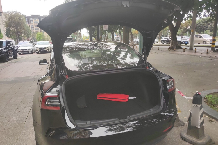 特斯拉 Model 3 2020款 改款 标准续航后驱升级版局部细节23