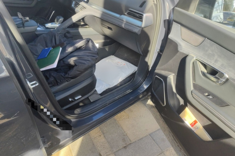 比亚迪 宋Pro新能源 2019款 EV 高功率高续航版旗舰型局部细节9005