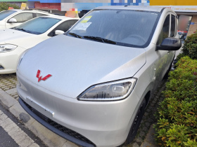 五菱汽车 五菱宏光新能源 2024款 纯电版 300KM 实用型