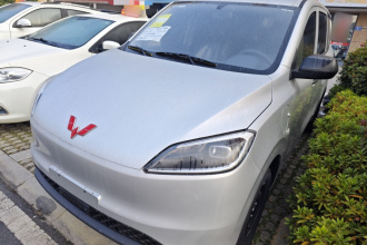 五菱汽车 五菱宏光新能源 2024款 纯电版 300KM 实用型