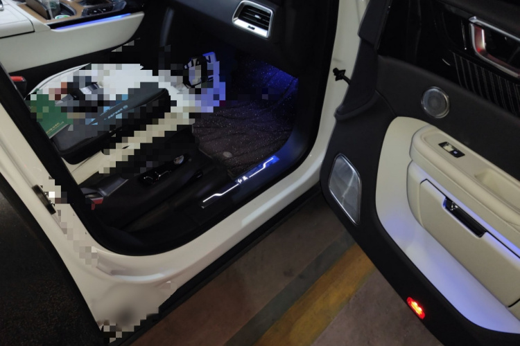 红旗E-HS9 2021款 510km 旗领版 四座局部细节9005