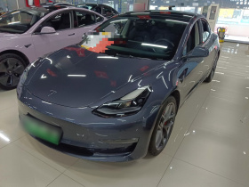 特斯拉 Model 3 2022款 Performance高性能全轮驱动版