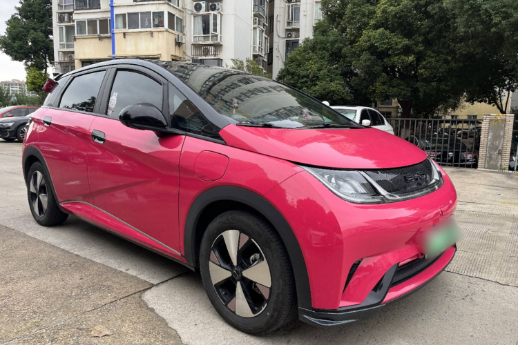 比亚迪 海豚 2023款 420km 时尚版车身外观6004