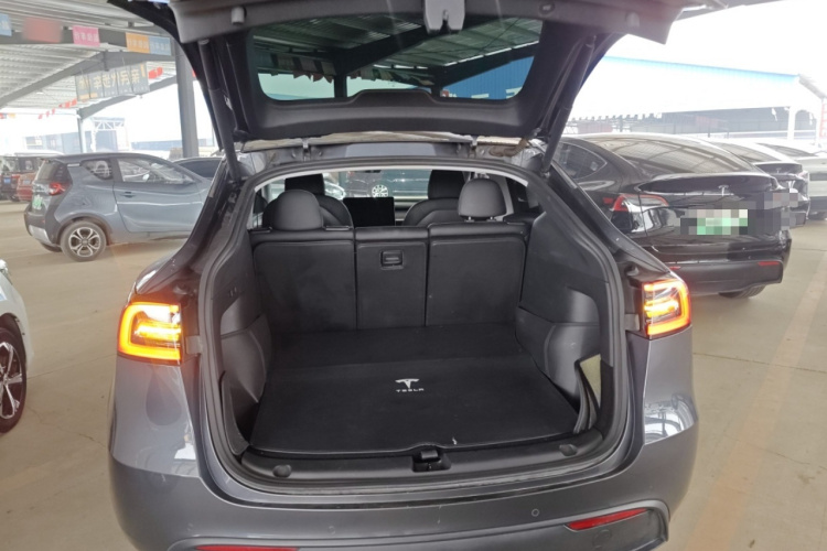 特斯拉 Model Y 2021款 长续航全轮驱动版 3D7局部细节23