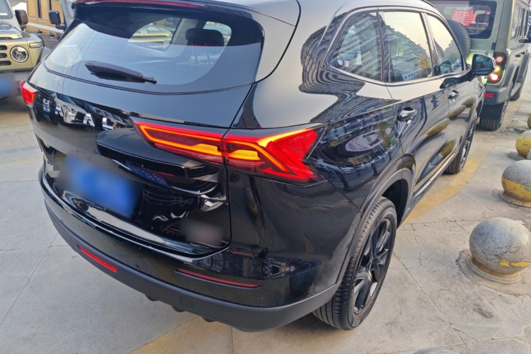 哈弗H6 2024款 2.0T 两驱Max车身外观7