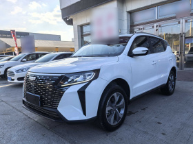 吉利汽车 豪越PRO 2024款 1.5T DCT 纵横+