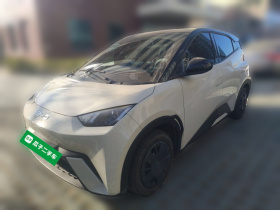 比亚迪 海鸥 2024款 荣耀版 305km 活力版