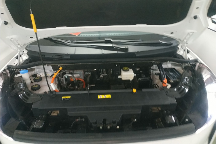 奔腾NAT 2023款 PRO 舒享出行版 419km机舱底盘24